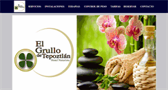 Desktop Screenshot of elgrullodetepoztlan.com